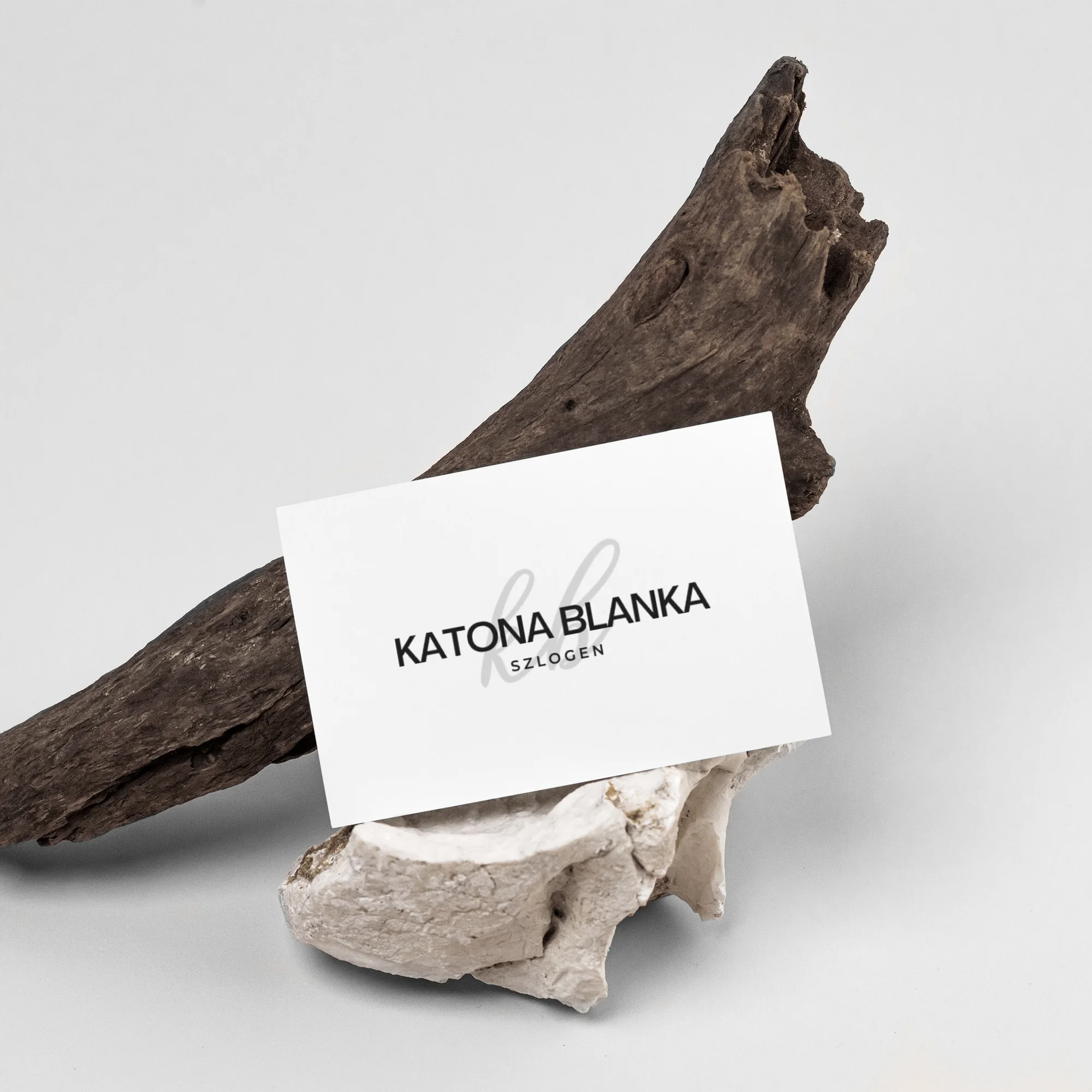 nullarol-profin-logocsomag-vallalkozoknak-04